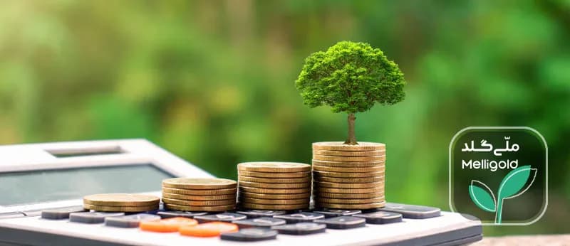 صندوق سرمایه‌گذاری طلا بهتر است یا خرید آنلاین طلای آب‌شده؟